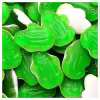 Haribo-Gummi-Candy-Frogs-5-oz-Bag-Pack-of-12-CLEAR-4