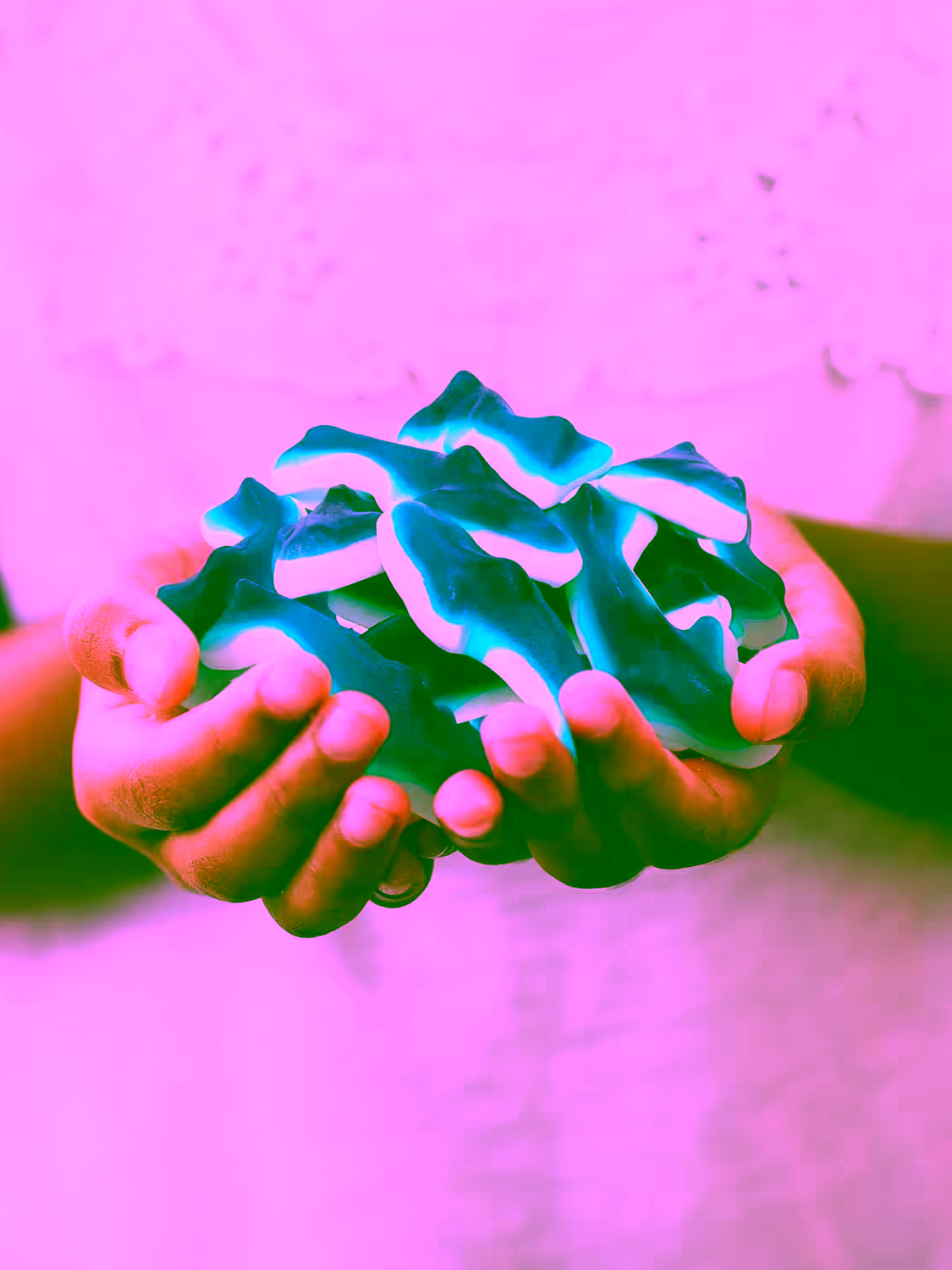 Close-up of a person holding a handful of Blue Sharks Gummy Candy, highlighting the bold blue hue and shark shapes