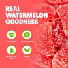 shameless-snacks-keto-gummies-gluten-free-candy-6-pack-wassup-watermelon-4